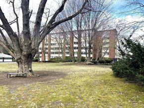 22 Chestnut Place 210, Brookline MA 02445