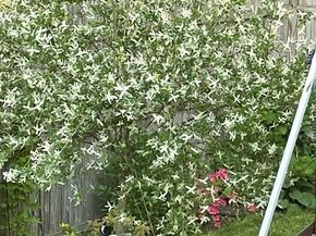 76 Business St, Boston MA 02136