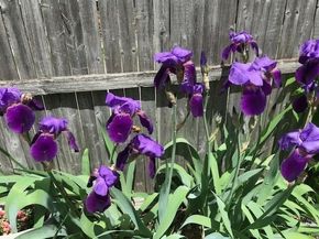 76 Business St, Boston MA 02136