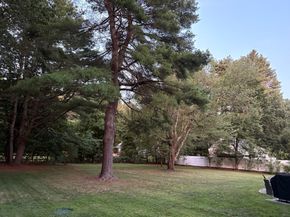 92 Seekonk St, Norfolk MA 02056