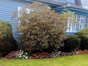 31 Barnard Rd, Worcester MA 01605