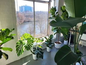 33 Pond Ave. 915, Brookline MA 02445