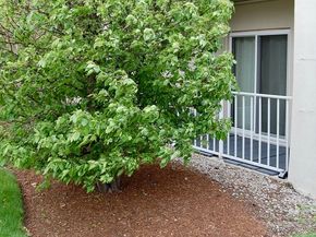 200 Cove Way 113, Quincy MA 02169