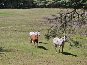 135 Walker Pond Rd, Sturbridge MA 01566