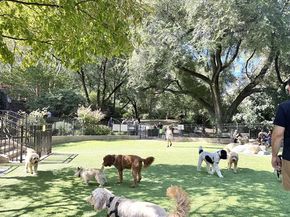 10 East End Avenue 4A, New York NY 10075