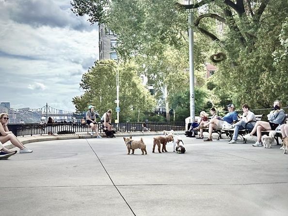 10 East End Avenue 4A, New York NY 10075