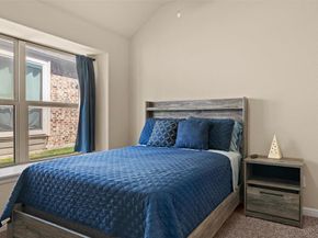 920  Goldenmist Drive , Little Elm Texas 75068