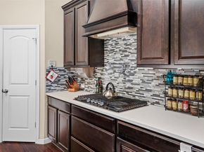 920  Goldenmist Drive , Little Elm Texas 75068