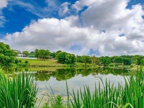 6565  Shoreline Drive , Little Elm Texas 75068