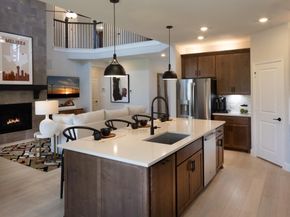539  Wisteria Street , Oak Point Texas 75068