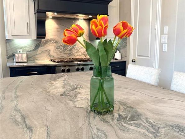 1210  Bailey Drive , Lantana Texas 76226