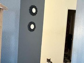 927  Rio Vista Lane , Arlington Texas 76017