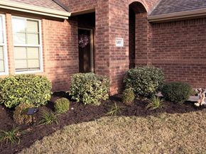 1405  Villa Paloma Boulevard , Little Elm Texas 75068