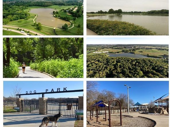 3508  Birchwood Lane , Plano Texas 75074