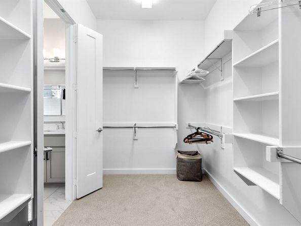 3660  Spruce Hills Street , Frisco Texas 75033