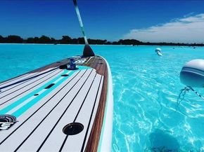 3780  White Clover Lane , Prosper Texas 75078