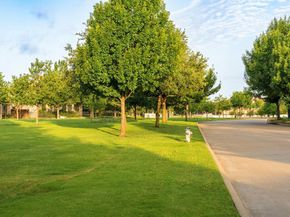 6527  Barcelona  , Irving Texas 75039
