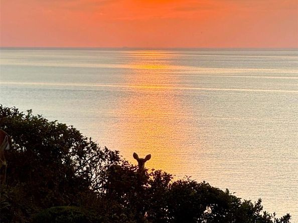 312 Fox Hill Drive, Baiting Hollow NY 11933