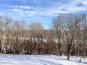 3 Farese Way, Amawalk NY 10501