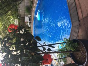1484 164th Street, Beechhurst NY 11357