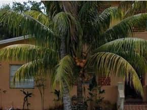 3410 SW 11th St, Miami FL 33135