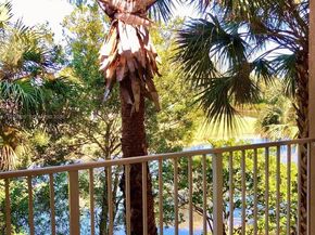 1165 Golden Lakes Blvd 1226, West Palm Beach FL 33411