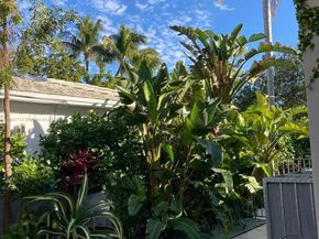 4805 Cherokee Ave, Miami Beach FL 33140