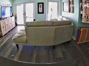 2431 SW 82nd Ave 305, Davie FL 33324