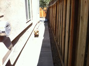 541 Madera Avenue, San Jose CA 95112