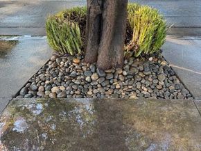 7610 Miller Avenue, Gilroy CA 95020