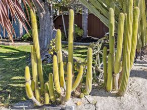 4080 Leigh Avenue, San Jose CA 95124