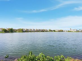 781 Mediterranean Lane, Redwood Shores CA 94065