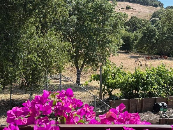 6449 Curie Court, San Jose CA 95123