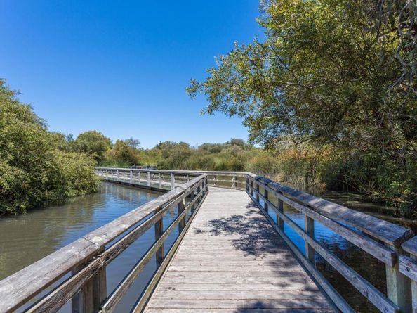 102 Tree Frog Lane, Santa Cruz CA 95060