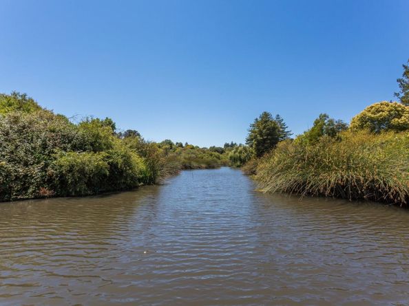 102 Tree Frog Lane, Santa Cruz CA 95060