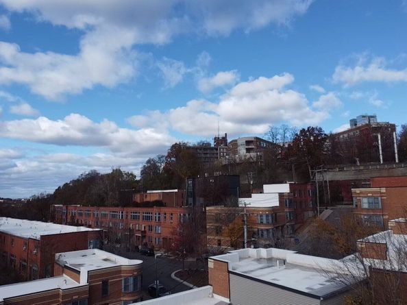 100 Lawn 100, Boston MA 02120