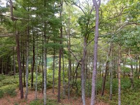 19 Red Leaf, Plymouth MA 02360