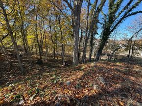 1139 Hyde Park Ave, Boston MA 02136