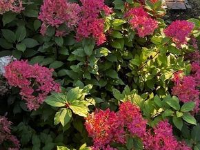 120 Polley Lane, Walpole MA 02032