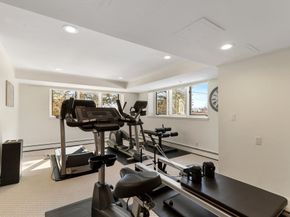 9 Singletree Road, Brookline MA 02467