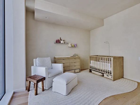 168 Plymouth Street PH, Brooklyn NY 11201