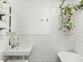 608 Mac Donough Street, Brooklyn NY 11233