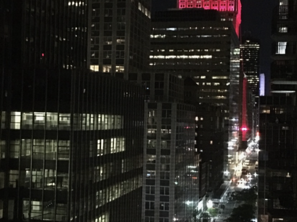 225 East 46th Street 12G, New York NY 10017