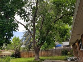 829 Hubbard Drive, Longmont CO 80504