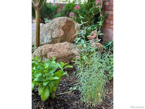 2463 Broadway Street 2, Boulder CO 80304