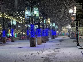 2463 Broadway Street 2, Boulder CO 80304