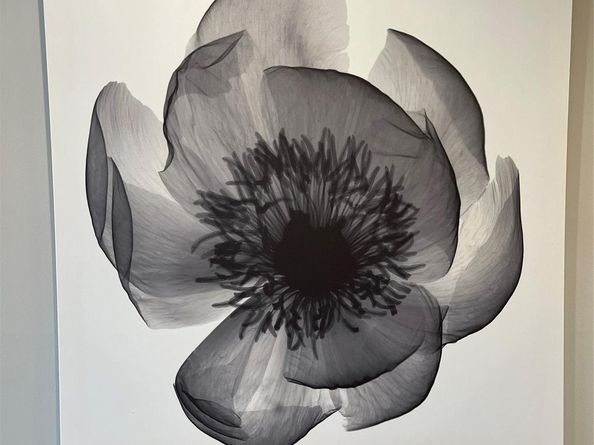 3100 N Palm Aire Dr 304, Pompano Beach FL 33069