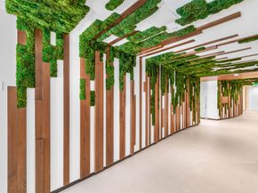 220 SE Mizner Boulevard 609, Boca Raton FL 33432