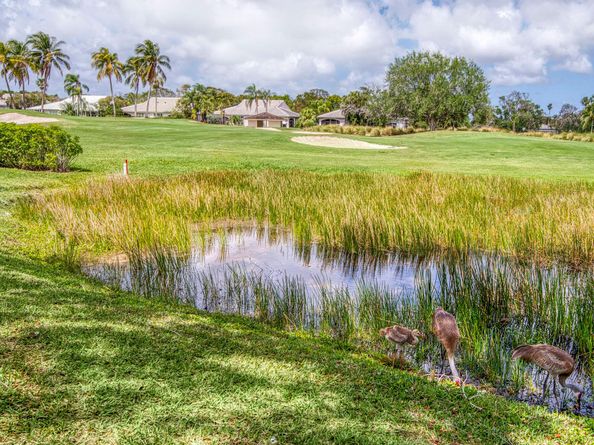 193 Thornton Drive, Palm Beach Gardens FL 33418