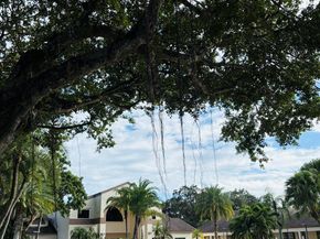 3529 NW 35th Street 1606, Coconut Creek FL 33066